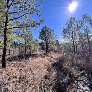 Photo #28 of SOLD property in Off Rehoboth Church Rd, Jackson, NC 162.7 acres