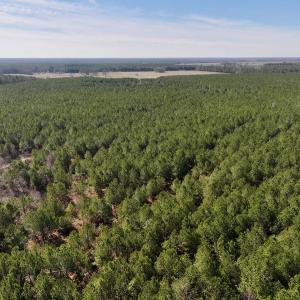Photo #30 of SOLD property in Off Rehoboth Church Rd, Jackson, NC 162.7 acres