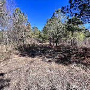 Photo #34 of SOLD property in Off Rehoboth Church Rd, Jackson, NC 162.7 acres