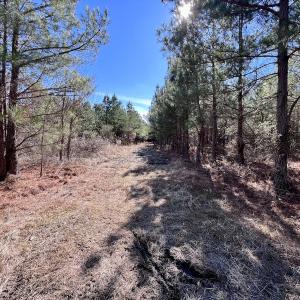 Photo #35 of SOLD property in Off Rehoboth Church Rd, Jackson, NC 162.7 acres