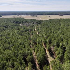 Photo #36 of SOLD property in Off Rehoboth Church Rd, Jackson, NC 162.7 acres