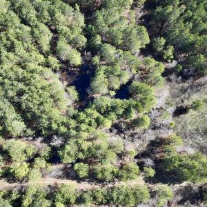 Photo #38 of SOLD property in Off Rehoboth Church Rd, Jackson, NC 162.7 acres