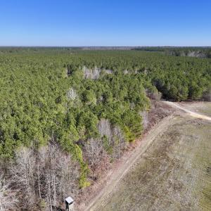 Photo #40 of SOLD property in Off Rehoboth Church Rd, Jackson, NC 162.7 acres