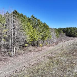 Photo #41 of SOLD property in Off Rehoboth Church Rd, Jackson, NC 162.7 acres