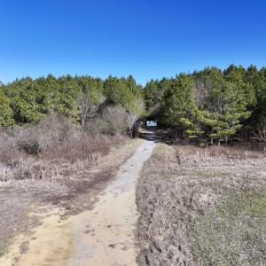 Photo #42 of SOLD property in Off Rehoboth Church Rd, Jackson, NC 162.7 acres