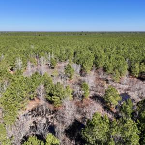 Photo #43 of SOLD property in Off Rehoboth Church Rd, Jackson, NC 162.7 acres