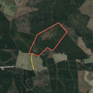 Photo #1 of SOLD property in Off Rehoboth Church Rd, Jackson, NC 162.7 acres