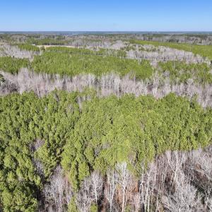 Photo #2 of SOLD property in Off SR 1344, Littleton, NC 5.1 acres