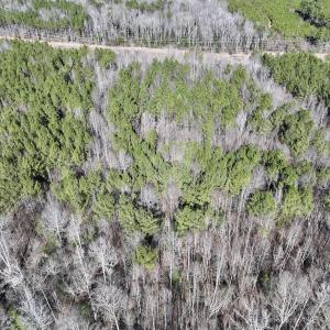 Photo #15 of SOLD property in Off SR 1344, Littleton, NC 5.1 acres