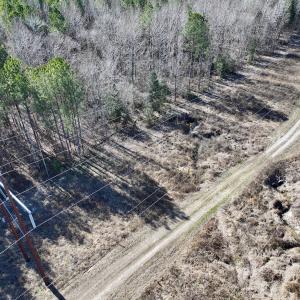Photo #16 of SOLD property in Off SR 1344, Littleton, NC 5.1 acres