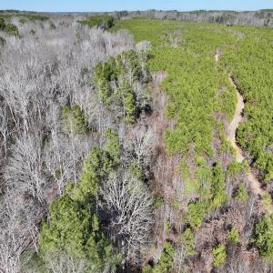 Photo #17 of SOLD property in Off SR 1344, Littleton, NC 5.1 acres