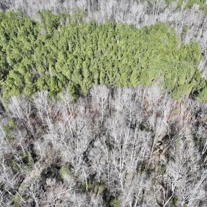 Photo #3 of SOLD property in Off SR 1344, Littleton, NC 5.1 acres