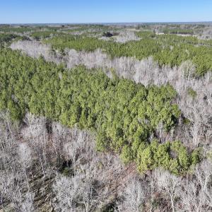 Photo #4 of SOLD property in Off SR 1344, Littleton, NC 5.1 acres
