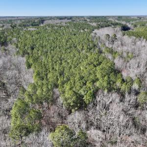 Photo #5 of SOLD property in Off SR 1344, Littleton, NC 5.1 acres