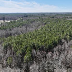 Photo #7 of SOLD property in Off SR 1344, Littleton, NC 5.1 acres