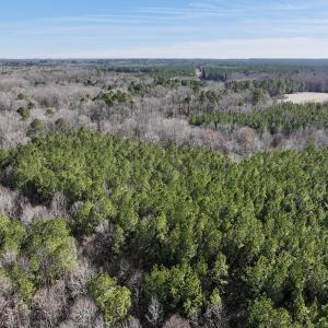 Photo #9 of SOLD property in Off SR 1344, Littleton, NC 5.1 acres