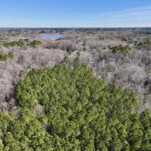 Photo #10 of SOLD property in Off SR 1344, Littleton, NC 5.1 acres