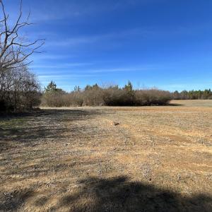 Photo #13 of SOLD property in Off Savage Road, Spring Hope, NC 1.5 acres