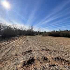 Photo #14 of SOLD property in Off Savage Road, Spring Hope, NC 1.5 acres