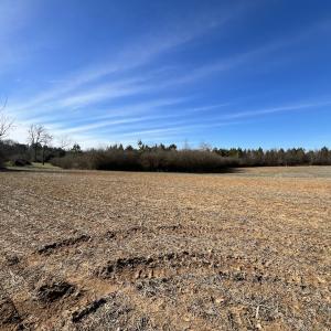 Photo #15 of SOLD property in Off Savage Road, Spring Hope, NC 1.5 acres