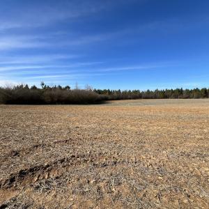 Photo #16 of SOLD property in Off Savage Road, Spring Hope, NC 1.5 acres