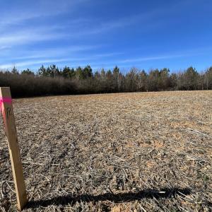 Photo #17 of SOLD property in Off Savage Road, Spring Hope, NC 1.5 acres