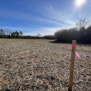 Photo #18 of SOLD property in Off Savage Road, Spring Hope, NC 1.5 acres