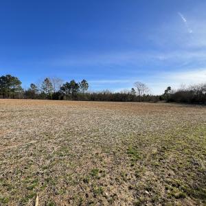 Photo #19 of SOLD property in Off Savage Road, Spring Hope, NC 1.5 acres