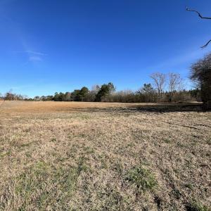 Photo #20 of SOLD property in Off Savage Road, Spring Hope, NC 1.5 acres