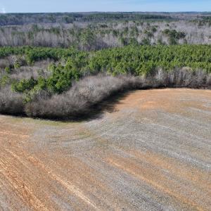 Photo #4 of SOLD property in Off Savage Road, Spring Hope, NC 1.5 acres
