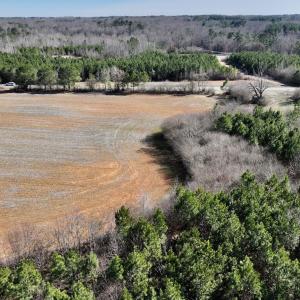 Photo #8 of SOLD property in Off Savage Road, Spring Hope, NC 1.5 acres