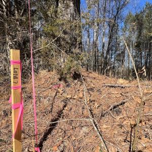Photo #18 of SOLD property in 01 Savage Road, Spring Hope, NC 2.5 acres