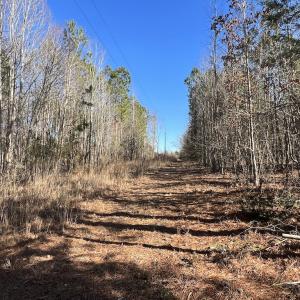 Photo #19 of SOLD property in 01 Savage Road, Spring Hope, NC 2.5 acres