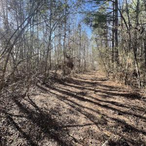Photo #20 of SOLD property in 01 Savage Road, Spring Hope, NC 2.5 acres