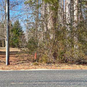 Photo #4 of SOLD property in Off Old Tipers Road, Heathsville, VA 3.0 acres