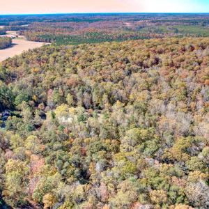 Photo #8 of SOLD property in Off Old Tipers Road, Heathsville, VA 3.0 acres