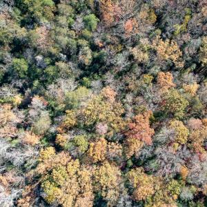 Photo #10 of Off Old Tipers Road, Heathsville, VA 3.0 acres