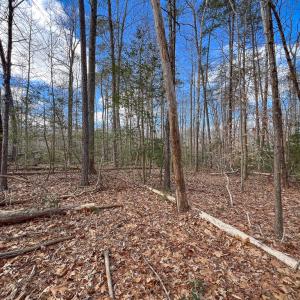 Photo #14 of SOLD property in Off Old Tipers Road, Heathsville, VA 3.0 acres