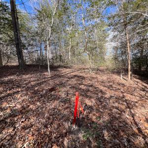 Photo #18 of SOLD property in Off Old Tipers Road, Heathsville, VA 3.0 acres