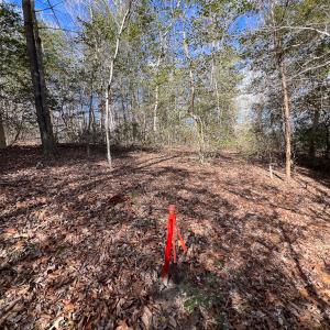 Photo #18 of Off Old Tipers Road, Heathsville, VA 3.0 acres
