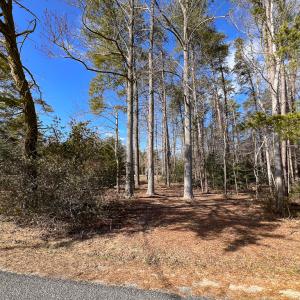 Photo #20 of SOLD property in Off Old Tipers Road, Heathsville, VA 3.0 acres