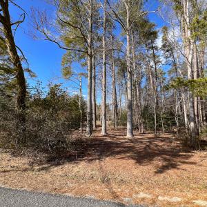 Photo #20 of Off Old Tipers Road, Heathsville, VA 3.0 acres