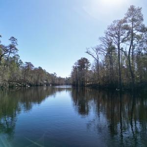 Photo #13 of Off Riverview Drive, Burgaw, NC 1.5 acres