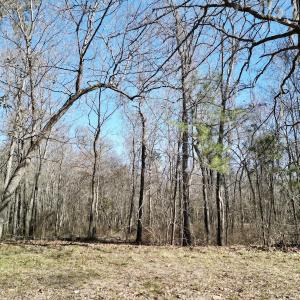 Photo #14 of Off Riverview Drive, Burgaw, NC 1.5 acres