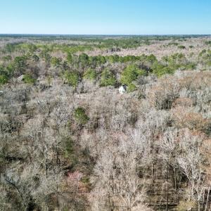 Photo #17 of Off Riverview Drive, Burgaw, NC 1.5 acres