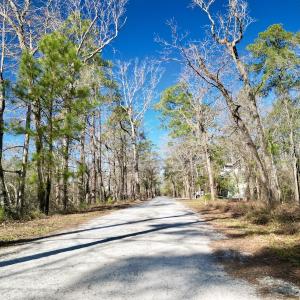 Photo #20 of Off Riverview Drive, Burgaw, NC 1.5 acres