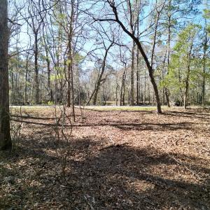 Photo #5 of Off Riverview Drive, Burgaw, NC 1.5 acres