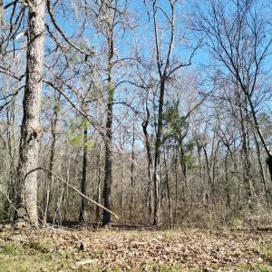 Photo #6 of Off Riverview Drive, Burgaw, NC 1.5 acres