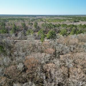 Photo #10 of Off Riverview Drive, Burgaw, NC 1.5 acres