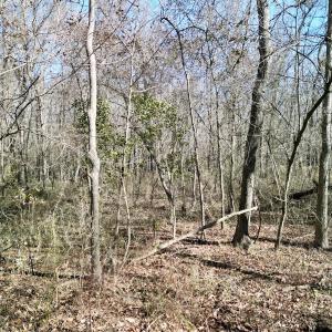 Photo #21 of Off Riverview Drive, Burgaw, NC 1.5 acres
